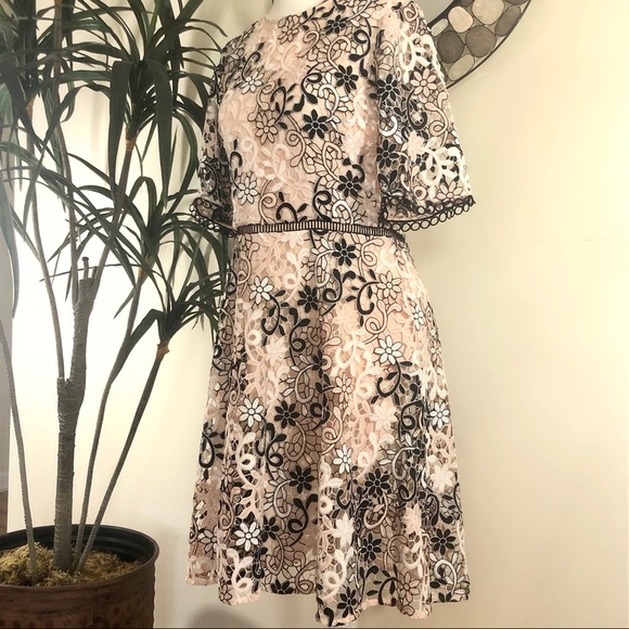 Shoshanna Dresses & Skirts - NWT Cream & White Lace Shoshanna dress